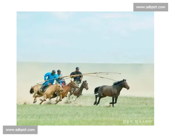 马背天骄：锡林郭勒草原驯马人的传奇与传承